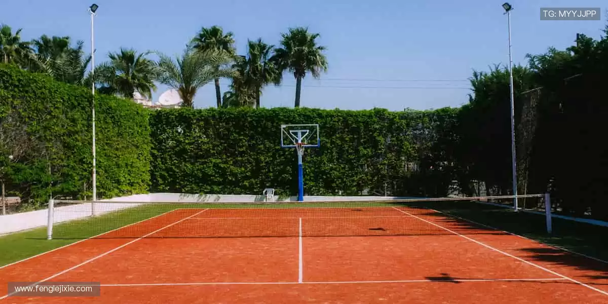 📺 一键直击,赛事精彩永不错过!